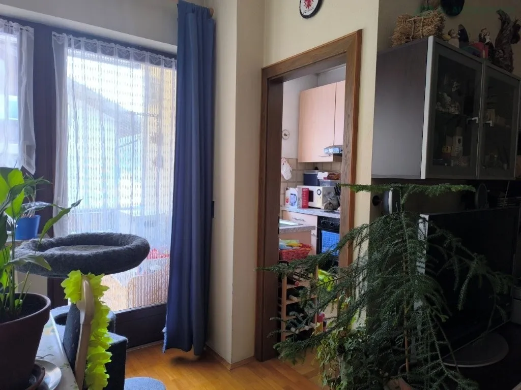 Ideale Geldanlage: vermietete Zweizimmerwohnung in ruhiger Lage in Sand in Taufers